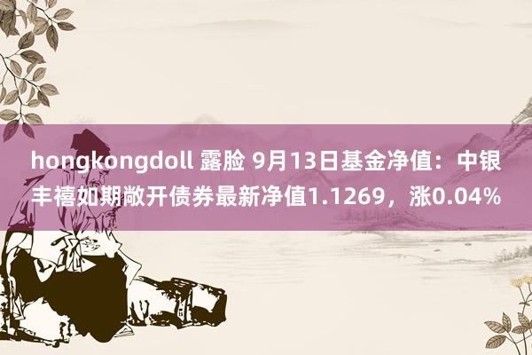 hongkongdoll 露脸 9月13日基金净值：中银丰禧如期敞开债券最新净值1.1269，涨0.04%
