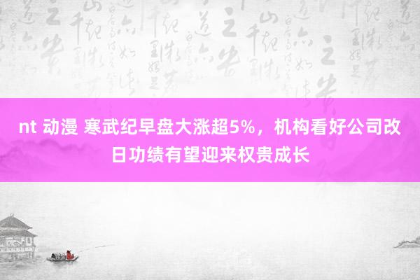 nt 动漫 寒武纪早盘大涨超5%，机构看好公司改日功绩有望迎来权贵成长