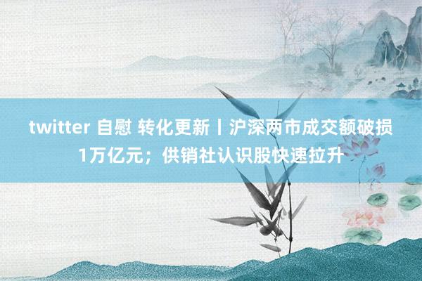 twitter 自慰 转化更新丨沪深两市成交额破损1万亿元；供销社认识股快速拉升