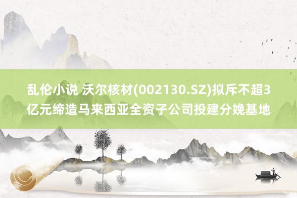乱伦小说 沃尔核材(002130.SZ)拟斥不超3亿元缔造马来西亚全资子公司投建分娩基地