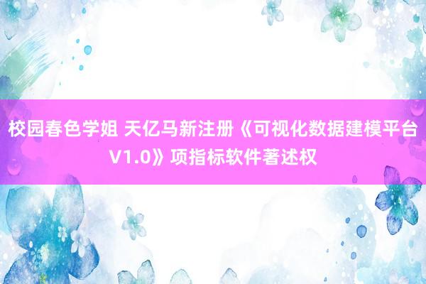 校园春色学姐 天亿马新注册《可视化数据建模平台V1.0》项指标软件著述权
