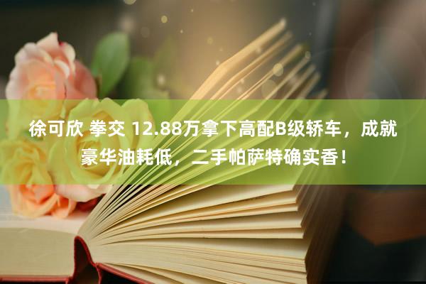徐可欣 拳交 12.88万拿下高配B级轿车，成就豪华油耗低，二手帕萨特确实香！