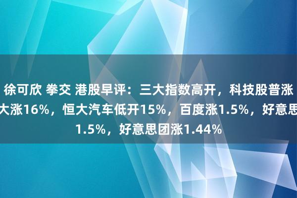 徐可欣 拳交 港股早评：三大指数高开，科技股普涨，新奥动力大涨16%，恒大汽车低开15%，百度涨1.5%，好意思团涨1.44%