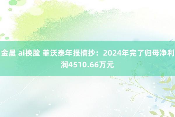 金晨 ai换脸 菲沃泰年报摘抄：2024年完了归母净利润4510.66万元