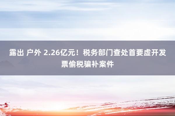 露出 户外 2.26亿元！税务部门查处首要虚开发票偷税骗补案件